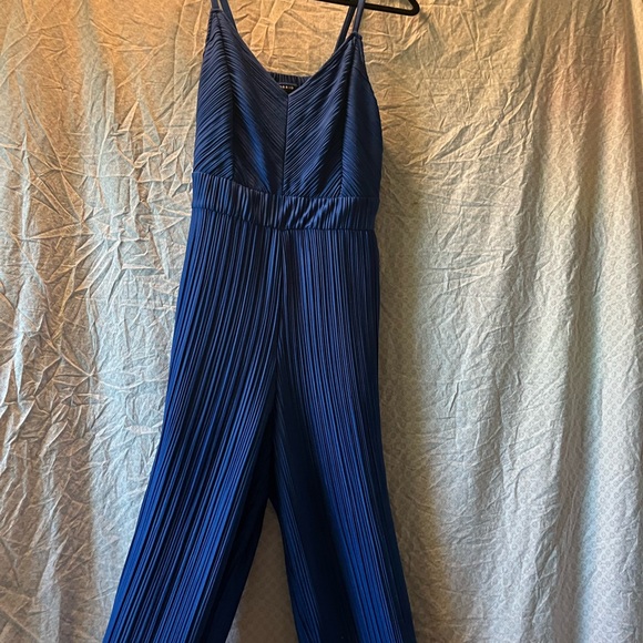 Blue Chiffon Pleated Jumpsuit - Picture 1 of 4